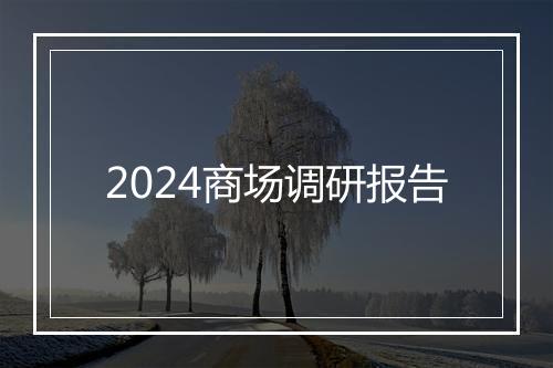 2024商场调研报告