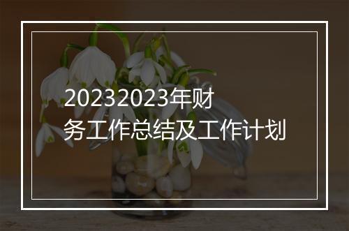 20232023年财务工作总结及工作计划