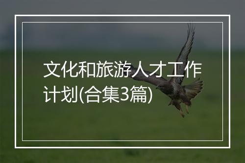 文化和旅游人才工作计划(合集3篇)