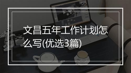 文昌五年工作计划怎么写(优选3篇)