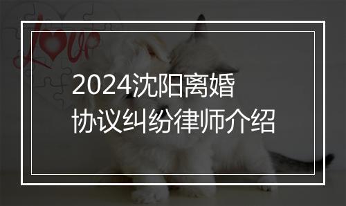 2024沈阳离婚协议纠纷律师介绍