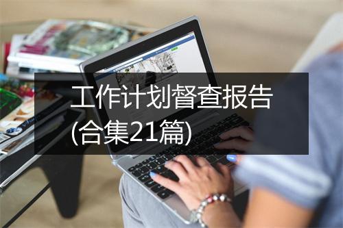 工作计划督查报告(合集21篇)