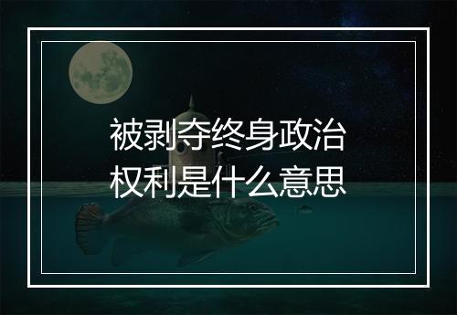 被剥夺终身政治权利是什么意思