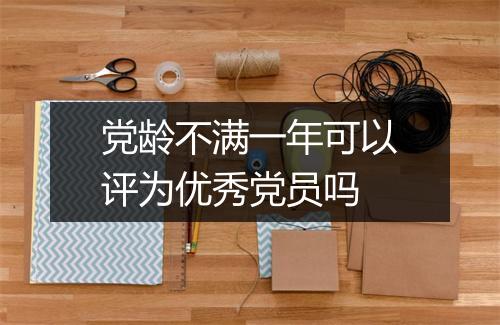 党龄不满一年可以评为优秀党员吗