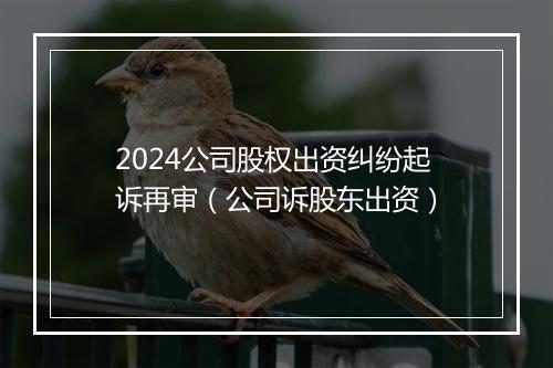 2024公司股权出资纠纷起诉再审（公司诉股东出资）