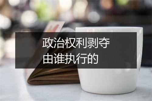 政治权利剥夺由谁执行的