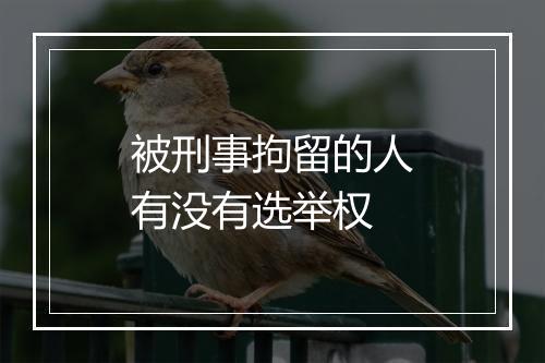 被刑事拘留的人有没有选举权