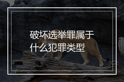 破坏选举罪属于什么犯罪类型