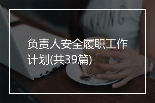 负责人安全履职工作计划(共39篇)