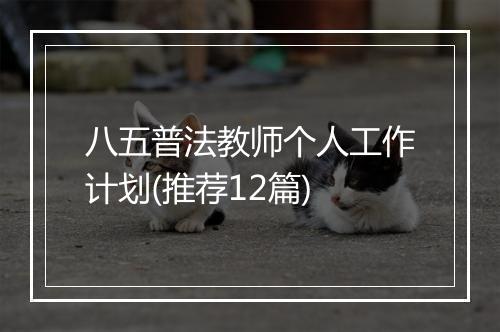 八五普法教师个人工作计划(推荐12篇)