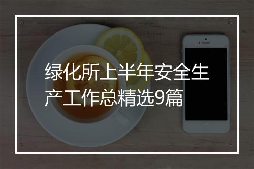 绿化所上半年安全生产工作总精选9篇