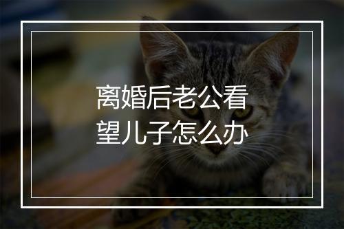离婚后老公看望儿子怎么办