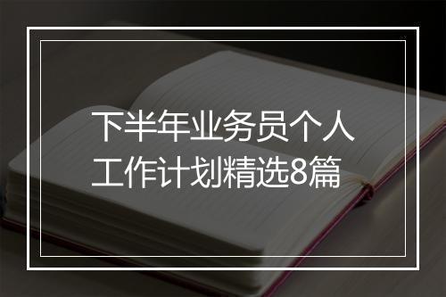 下半年业务员个人工作计划精选8篇