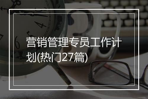 营销管理专员工作计划(热门27篇)