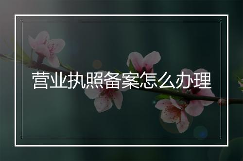 营业执照备案怎么办理
