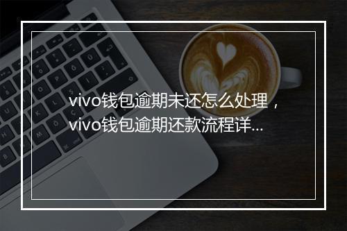 vivo钱包逾期未还怎么处理，vivo钱包逾期还款流程详解