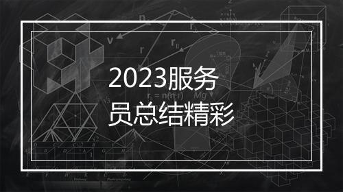 2023服务员总结精彩