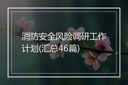 消防安全风险调研工作计划(汇总46篇)