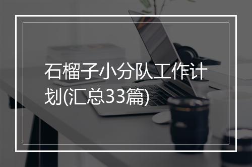石榴子小分队工作计划(汇总33篇)
