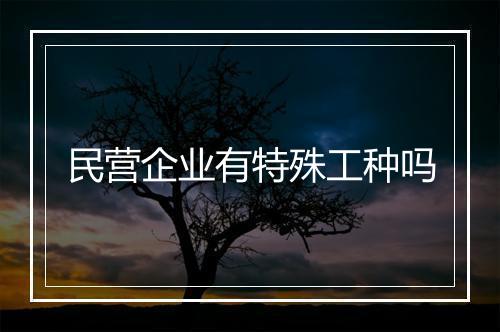 民营企业有特殊工种吗