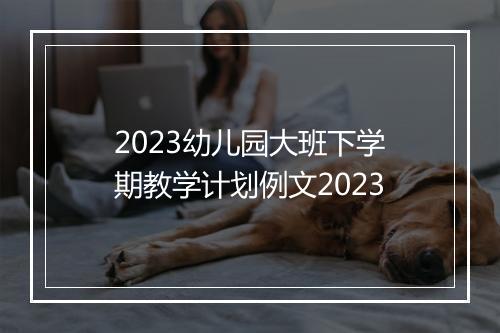 2023幼儿园大班下学期教学计划例文2023