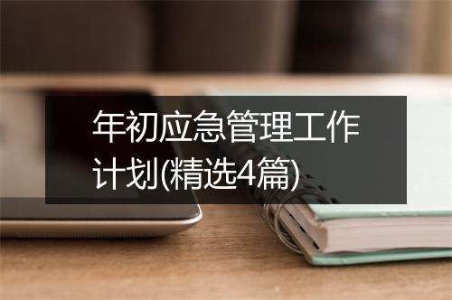 年初应急管理工作计划(精选4篇)