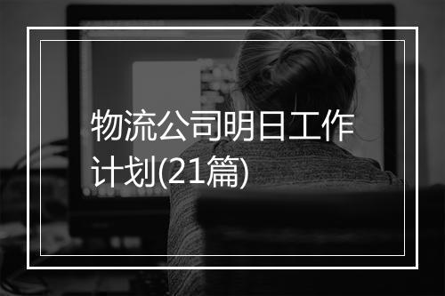物流公司明日工作计划(21篇)
