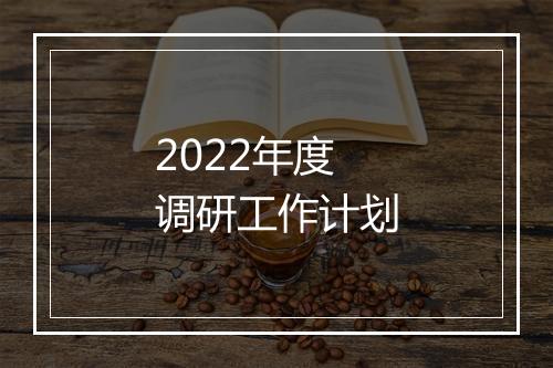2022年度调研工作计划