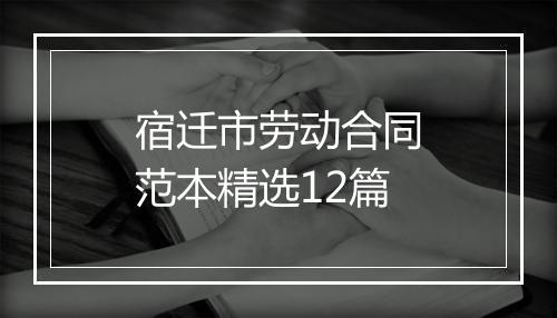 宿迁市劳动合同范本精选12篇