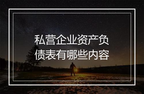 私营企业资产负债表有哪些内容