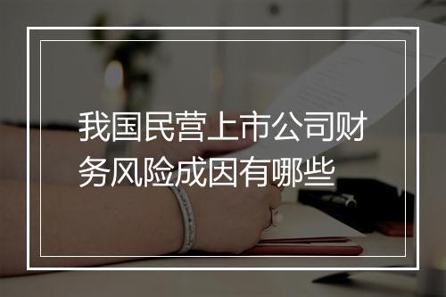 我国民营上市公司财务风险成因有哪些