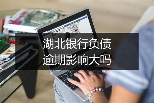 湖北银行负债逾期影响大吗