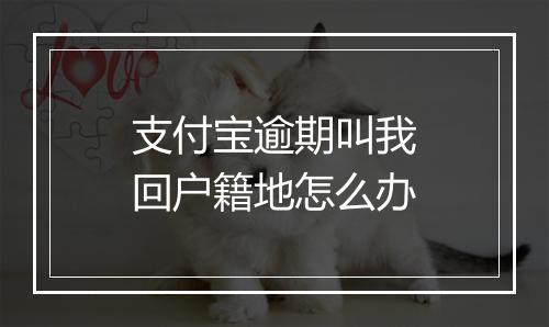 支付宝逾期叫我回户籍地怎么办