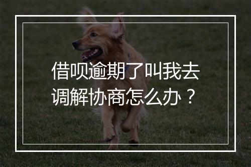 借呗逾期了叫我去调解协商怎么办？