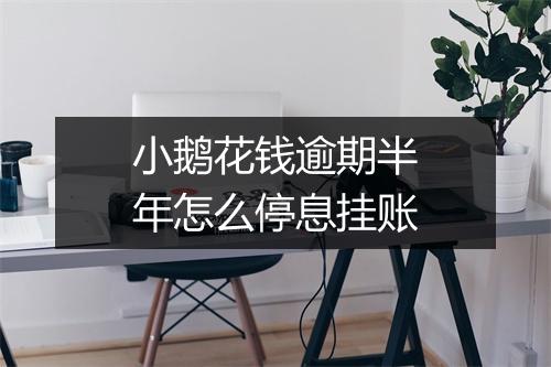 小鹅花钱逾期半年怎么停息挂账
