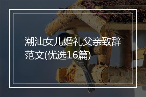 潮汕女儿婚礼父亲致辞范文(优选16篇)