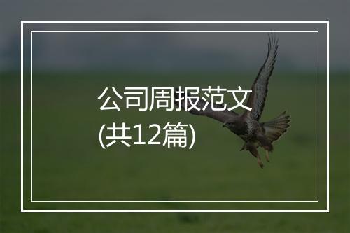 公司周报范文(共12篇)