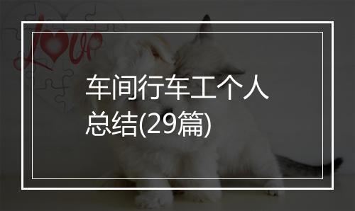 车间行车工个人总结(29篇)