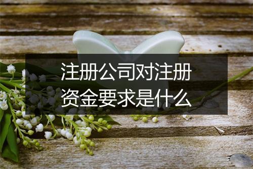 注册公司对注册资金要求是什么