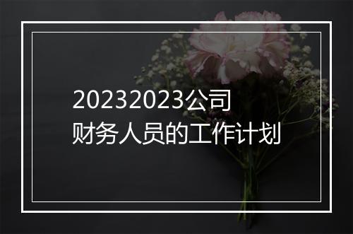 20232023公司财务人员的工作计划