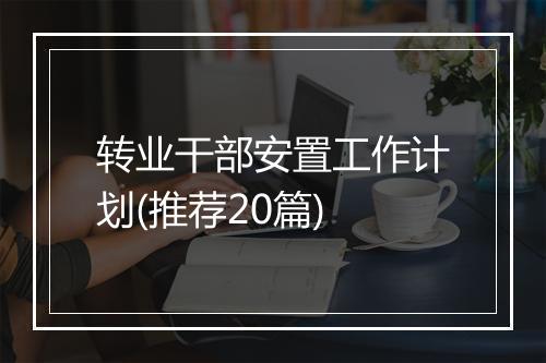 转业干部安置工作计划(推荐20篇)