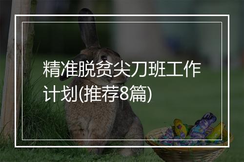 精准脱贫尖刀班工作计划(推荐8篇)