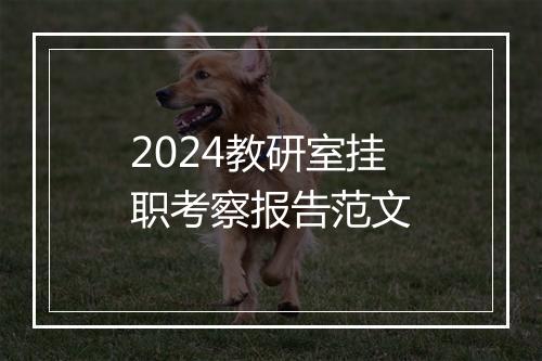 2024教研室挂职考察报告范文