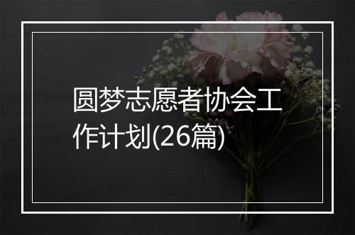 圆梦志愿者协会工作计划(26篇)
