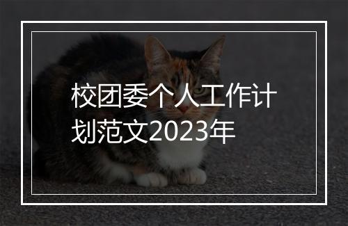 校团委个人工作计划范文2023年