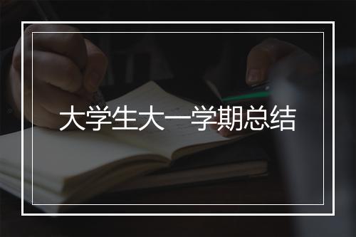 大学生大一学期总结
