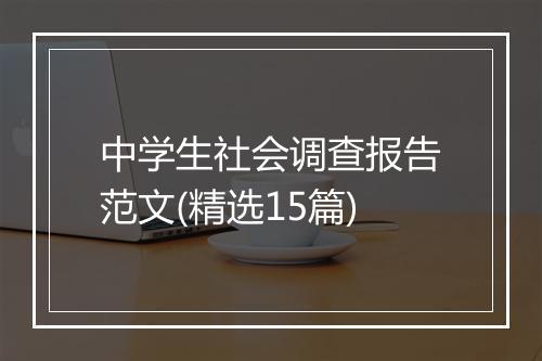 中学生社会调查报告范文(精选15篇)