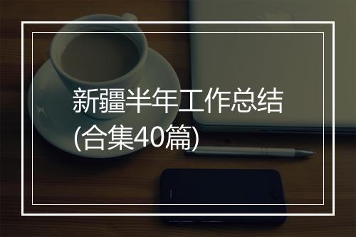 新疆半年工作总结(合集40篇)