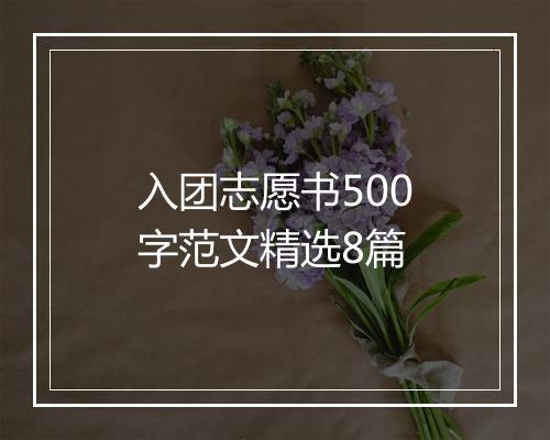 入团志愿书500字范文精选8篇