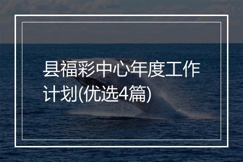 县福彩中心年度工作计划(优选4篇)